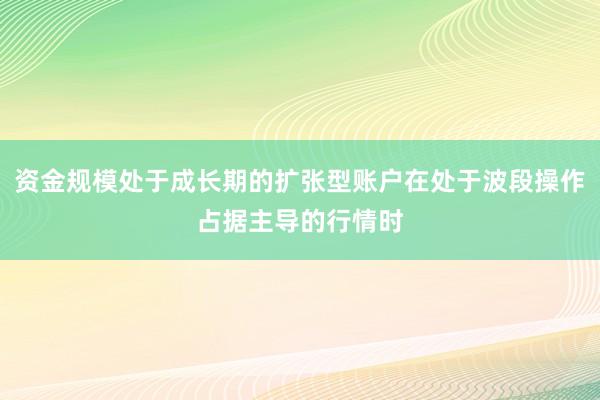 资金规模处于成长期的扩张型账户在处于波段操作占据主导的行情时