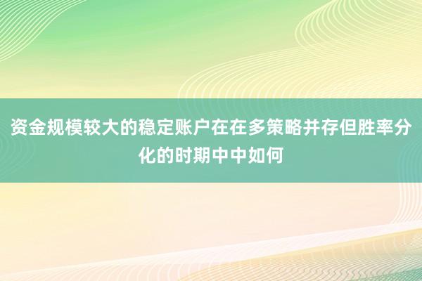 资金规模较大的稳定账户在在多策略并存但胜率分化的时期中中如何